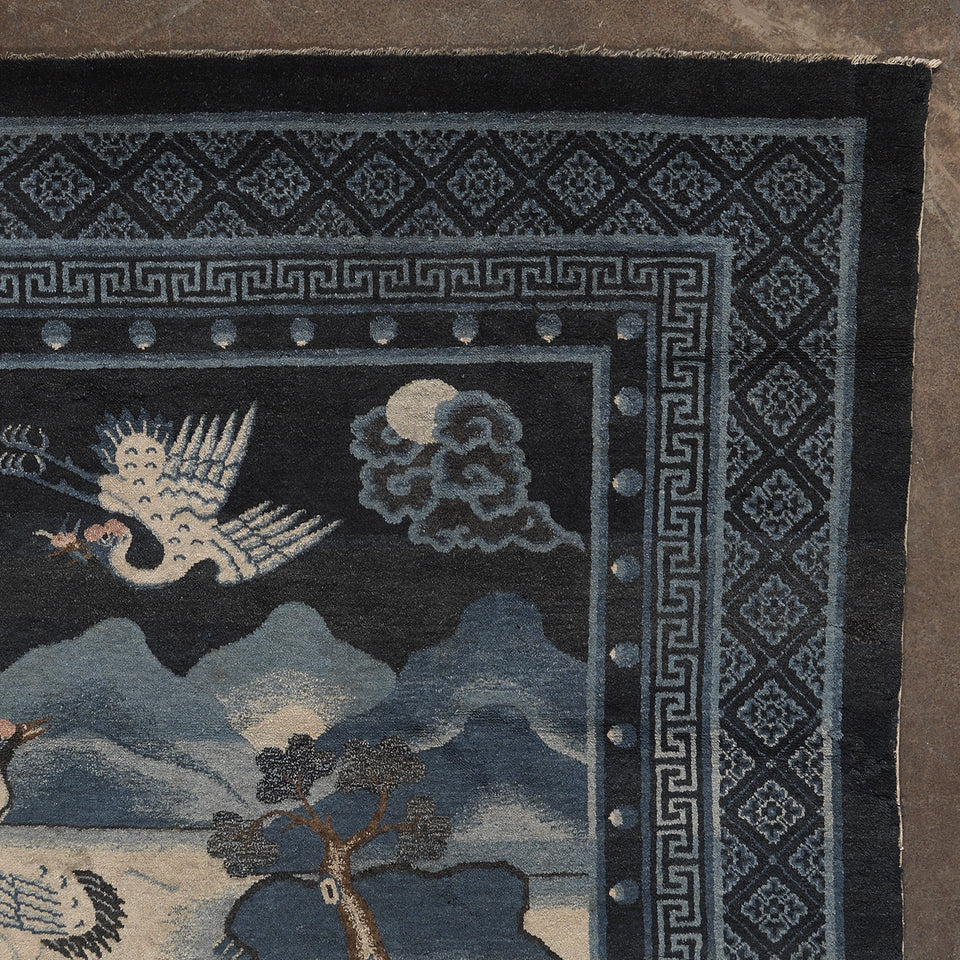 Danza delle Gru sotto la luna - 082