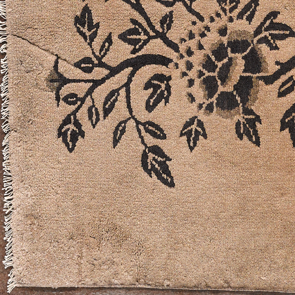 Pechino e i Fiori della saggezza - 226