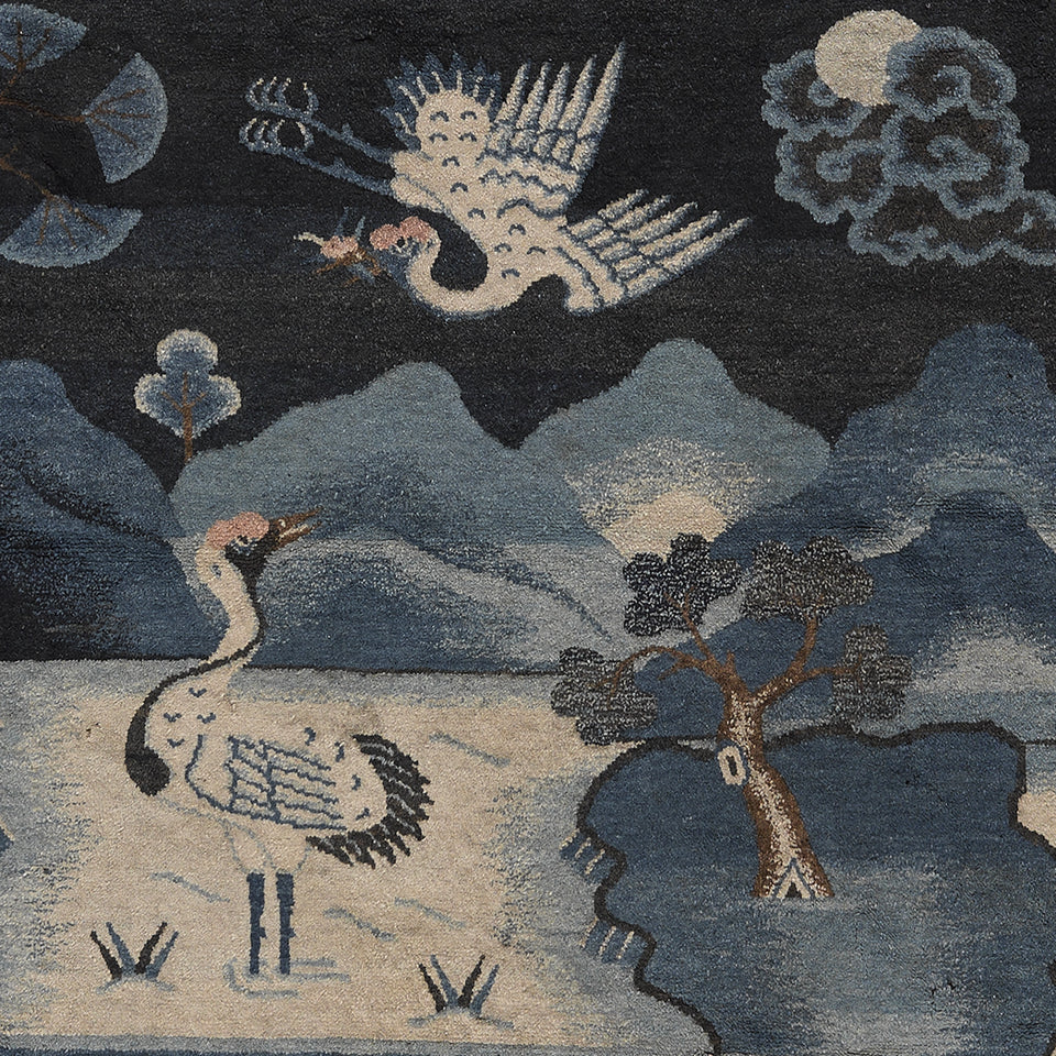 Danza delle Gru sotto la luna - 082