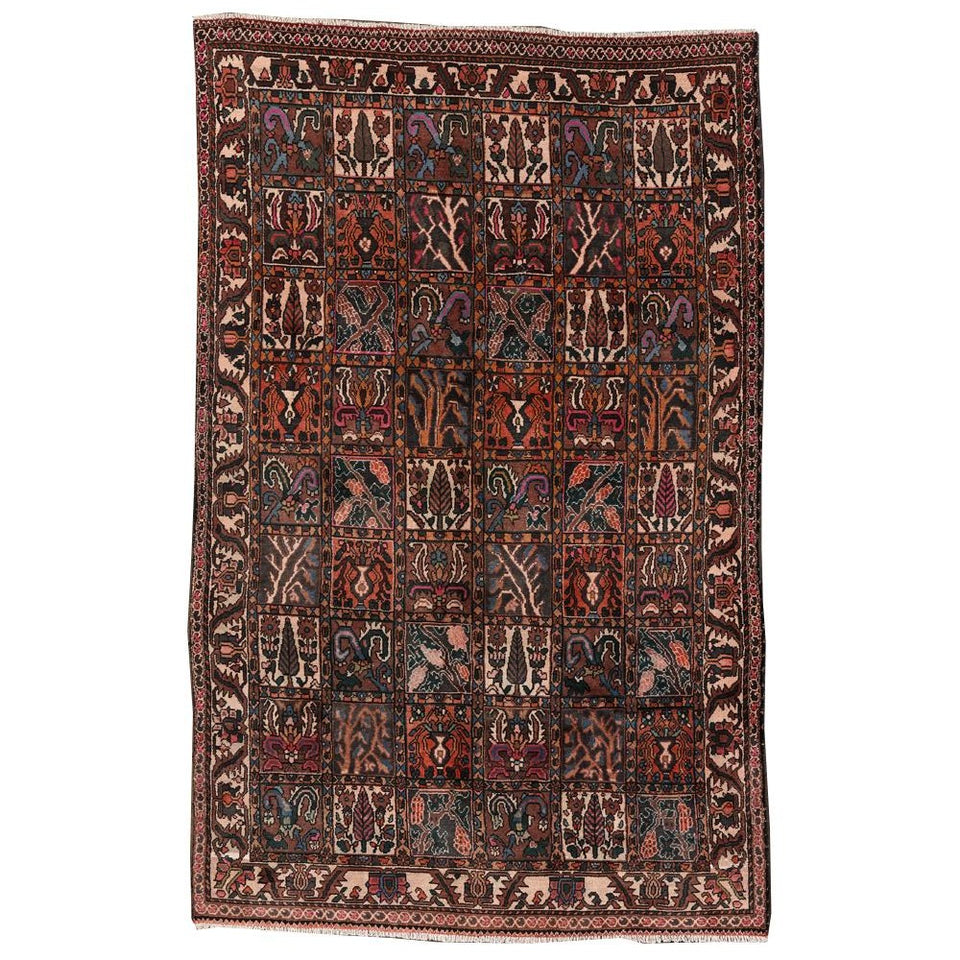 Bakhtiari - 039